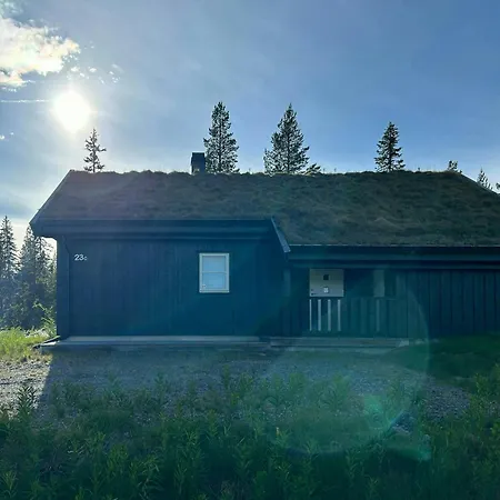Or Summer Adventure Right By Trysil